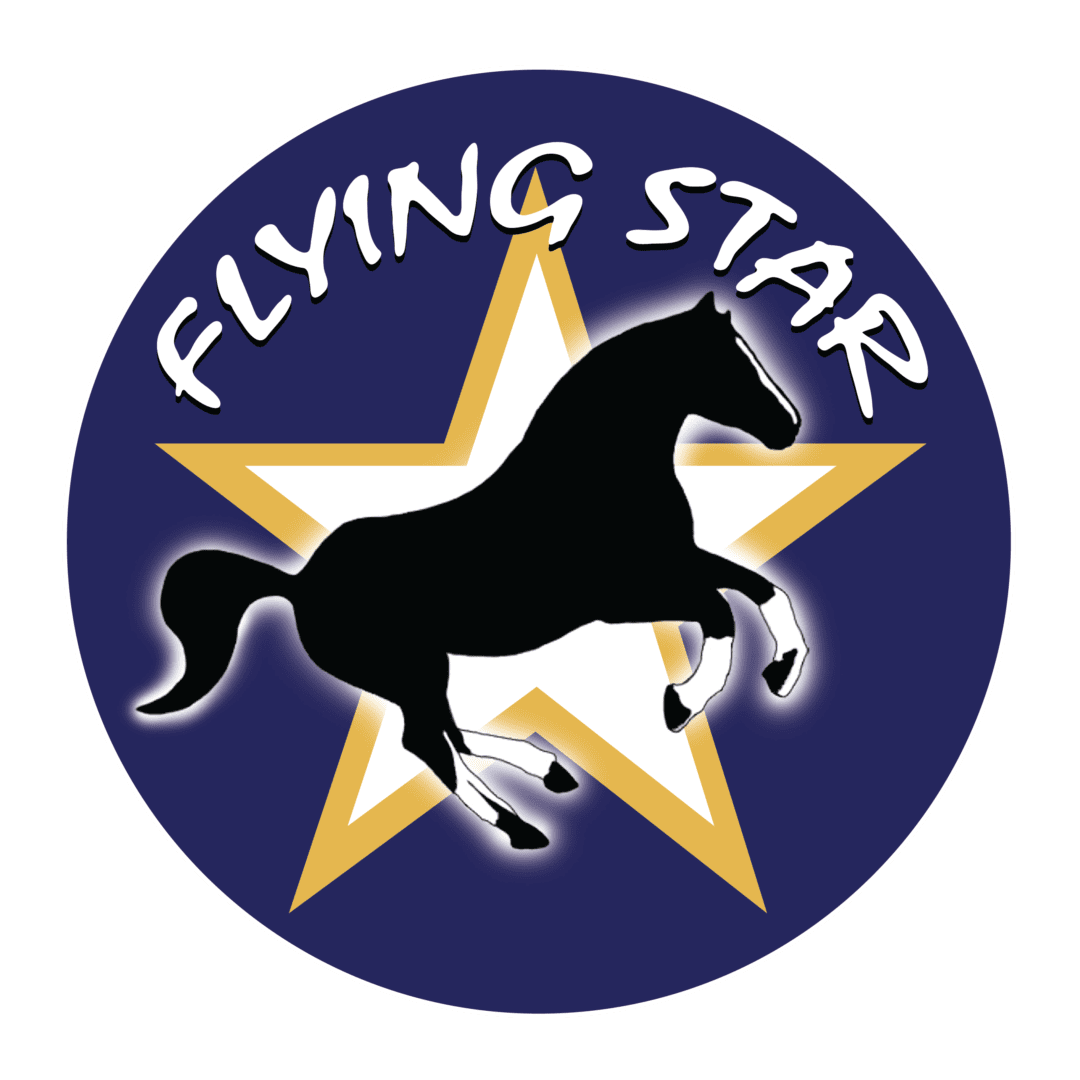 eventing Saddle Archives - Flying Star Saddlery