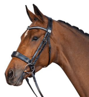 a horse wearing a Fairfax Double Cavesson bridle