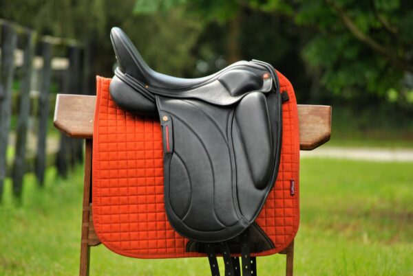 An Albion Revelation Red Label Dressage sitting on a wooden chair.