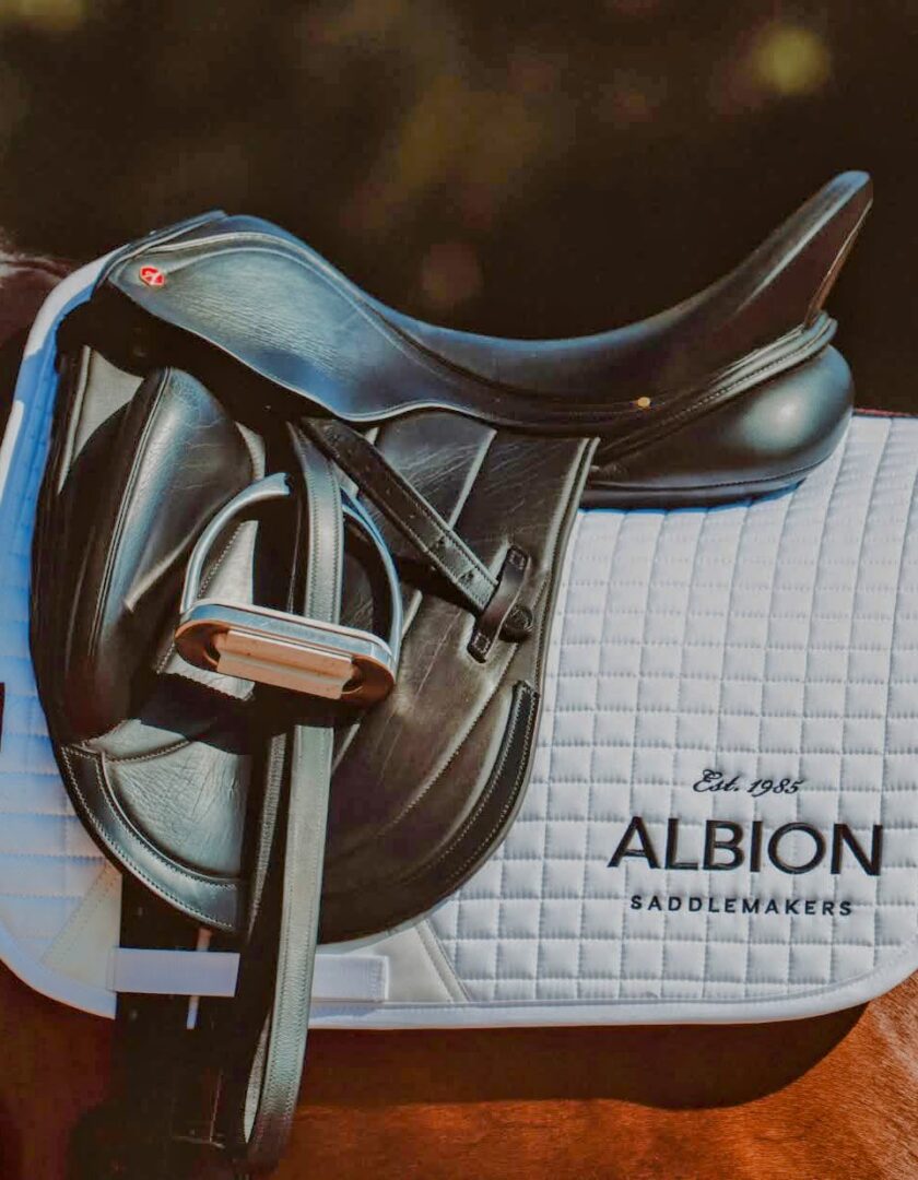 Black saddle on white quilted saddle pad.