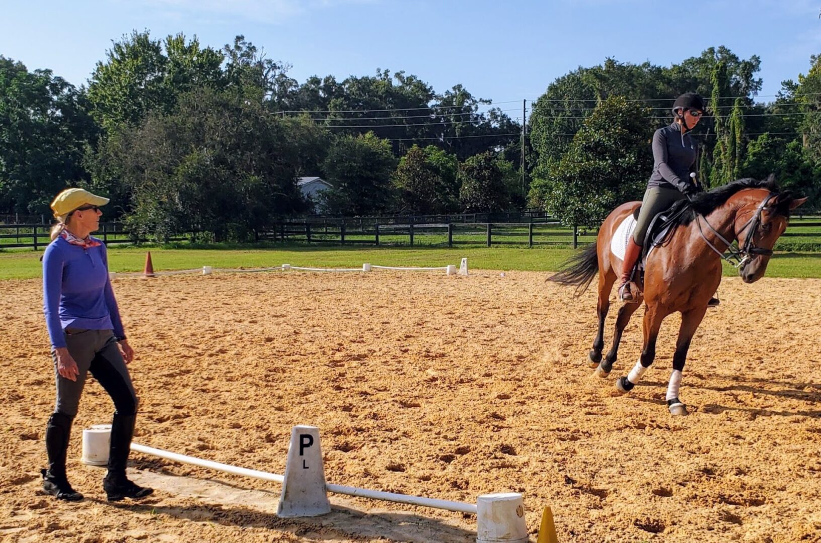 A person training a horse in a dirt arena.