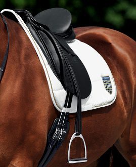 A close up of a brown horse with Passier Stirrup Leathers.