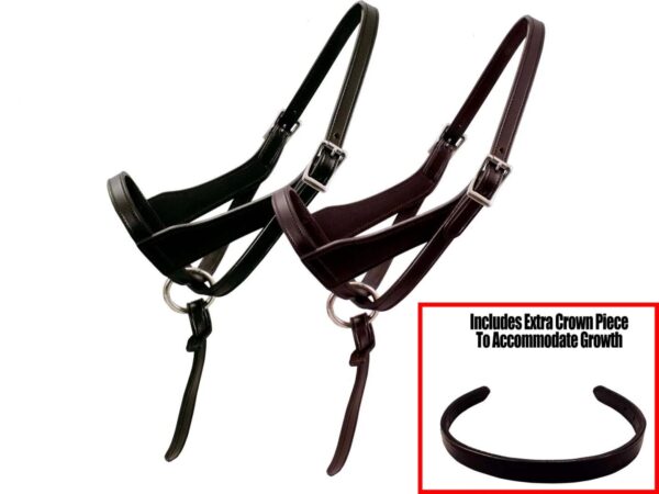 A black bridle and a black bridle.