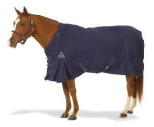 a horse wearing a Centaur Turnout Blanket