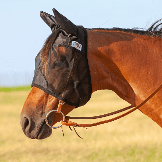 a horse wearing a Cashel Quiet Ride Fly Masks – Standard with Ears