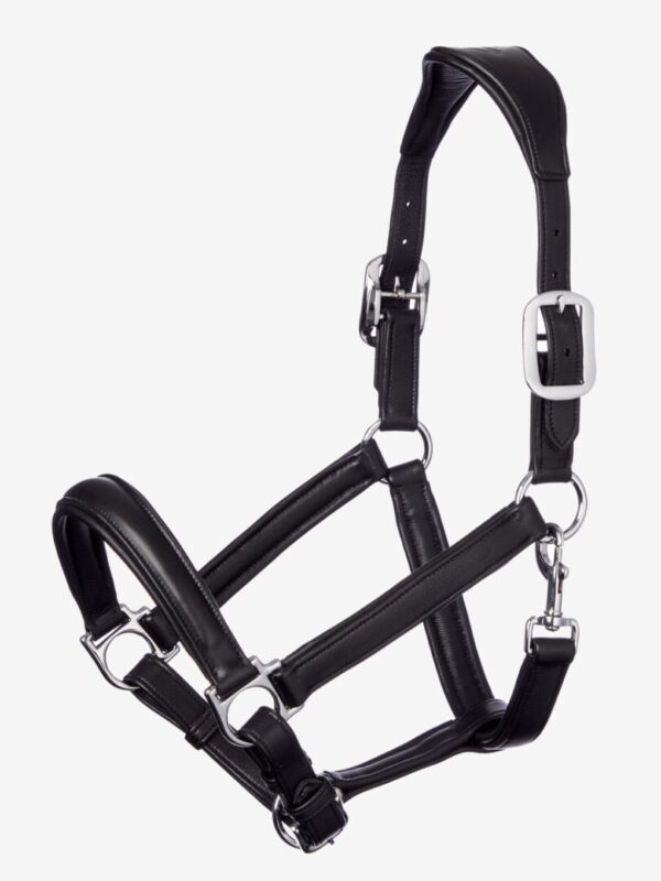 A LeMieux Anatomic Leather Headcollar with silver buckles.