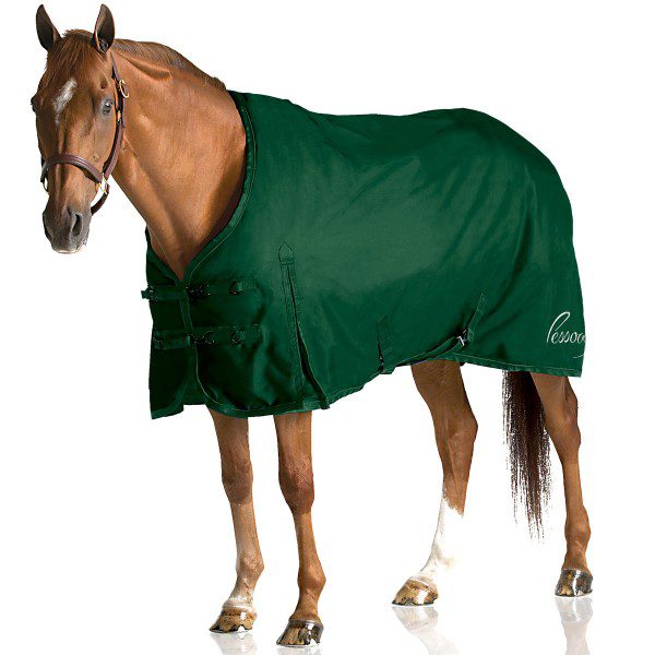 A horse is standing in a Pessoa Alpine 1200D Turnout Blanket.
