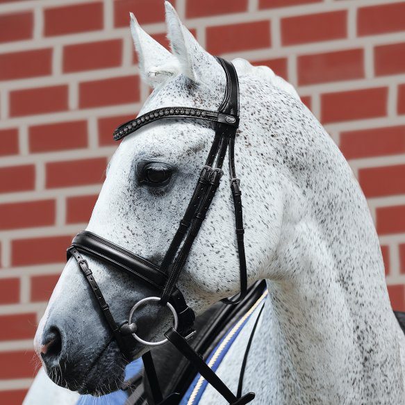 A white horse wearing a Passier Fortuna Bridle - SALE! in front of a brick wall.