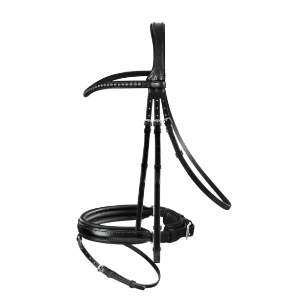 A Passier Fortuna Bridle - SALE! on a white background.