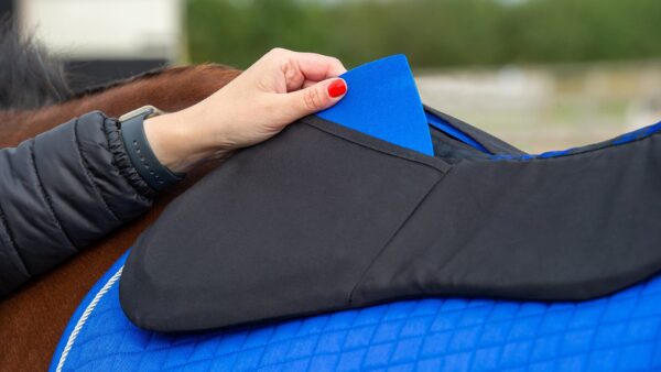 A person is putting a ProLite Adjustable Front Riser on a brown horse.