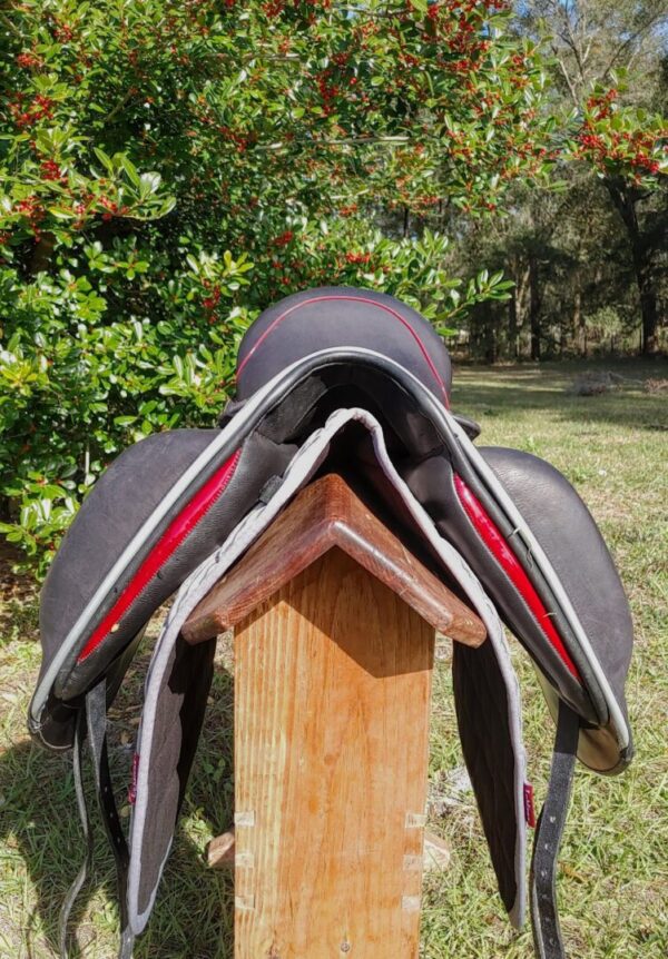 The back of a Ryder Excellence Dressage saddle sitting on top of a wooden box.