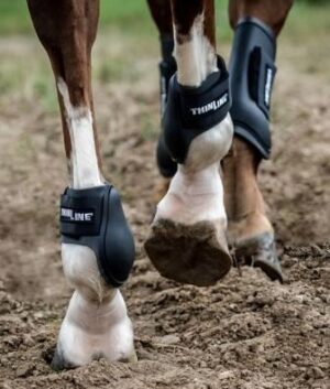 Ankle Horse Boot