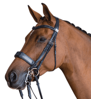 A brown horse wearing a Fairfax Double Cavesson bridle.