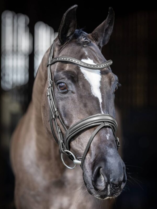 Arika Bridle