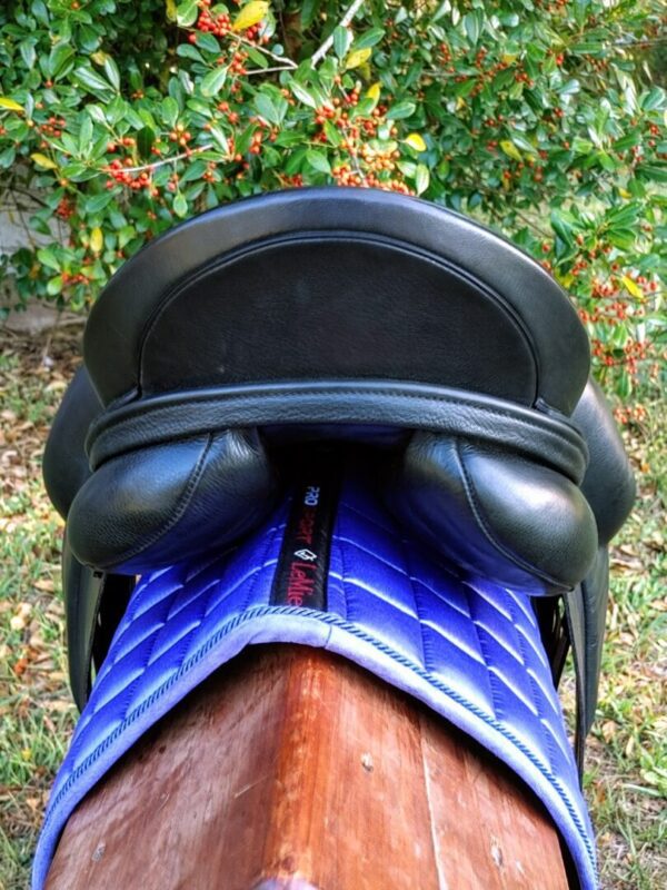 The back of an Albion Platinum Genesis Dual Flap Dressage Saddle UC248 with a blue saddle pad.