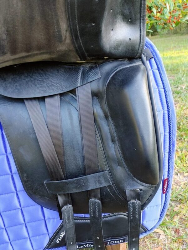An Albion Platinum Genesis Dual Flap Dressage Saddle UC248 with a blue saddle pad.