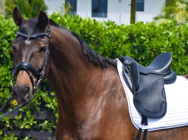 A brown horse with a Tota Freedom PRO 2 Dressage Saddle standing next to bushes.
