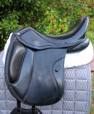 Consigned Ryder Dressage