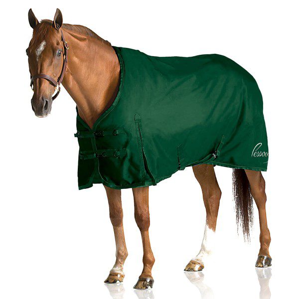 A horse is standing in a 1200D Turnout Sheet.