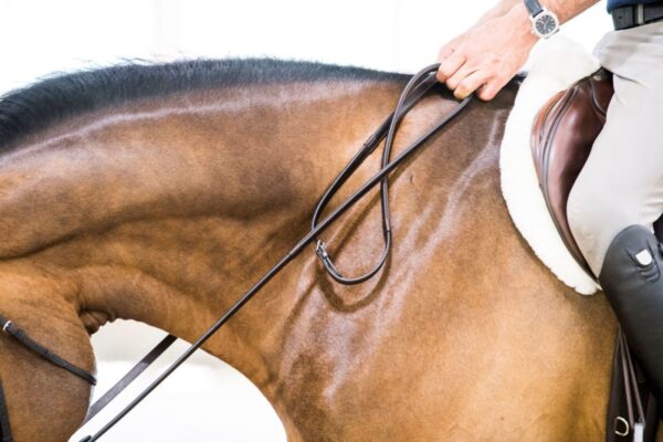 A person riding a horse with ThinLine Lined English Reins.