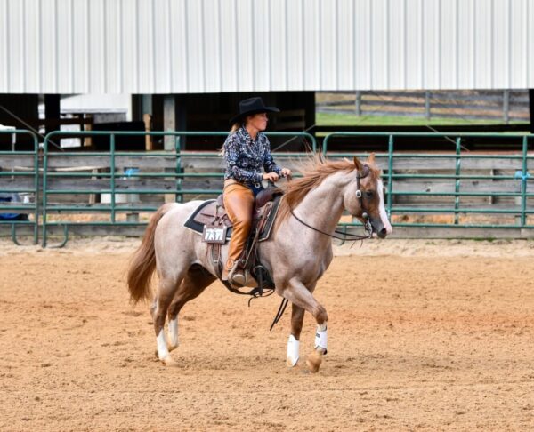 A woman in a cowboy hat riding a brown horse wearing Flexible Filly Closed Front Splint Boots.