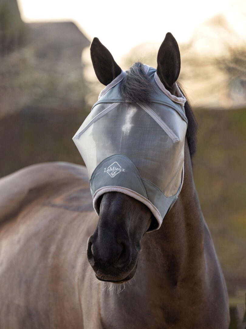 Pro Fly Mask No Ears