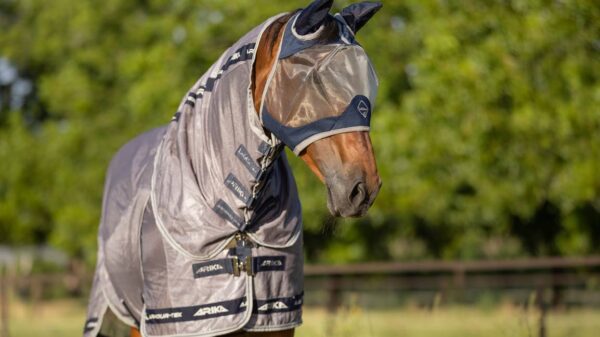 A horse wearing an ArmourShield Pro Half Fly Mask in a field.