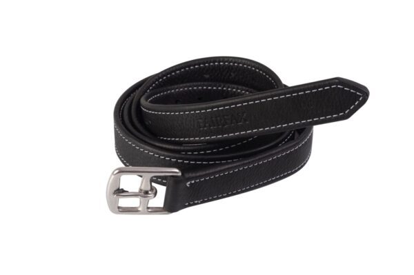 A black leather belt with a silver buckle.