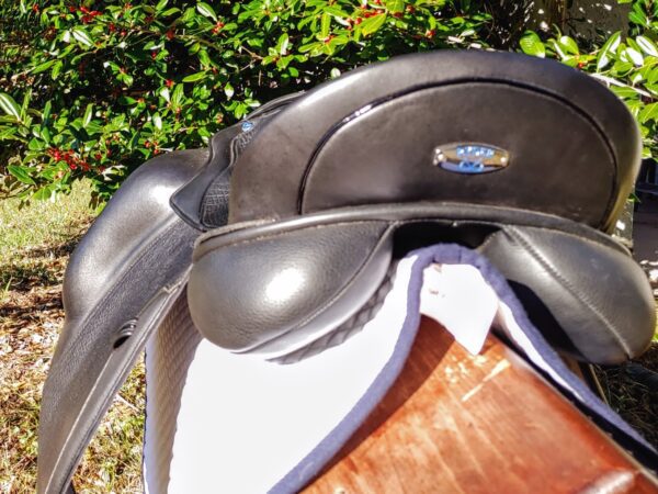A close up of a Ryder Excellence Monoflap Dressage - R11 in a grassy area.