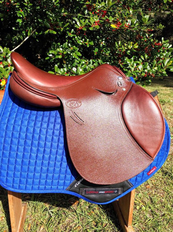 A brown DEMO - Ryder Riviera Dual Flap Jump - RY sitting on a blue mat.