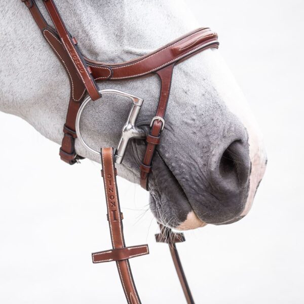 IKONIC ELITE BRIDLE / ANATOMIC HEADPIECE - Image 4