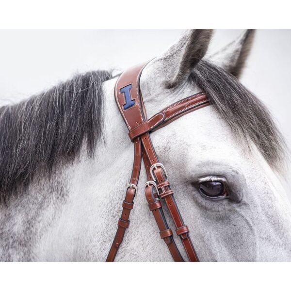 IKONIC ELITE BRIDLE / ANATOMIC HEADPIECE - Image 5