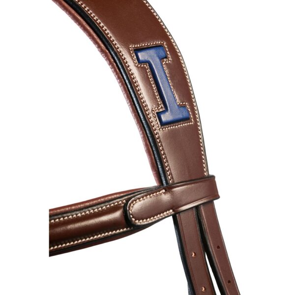 IKONIC ELITE BRIDLE / ANATOMIC HEADPIECE - Image 6