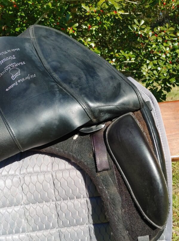 A Frank Baines Pirouette Monoflap Dressage – UC272 with a saddle pad on it.