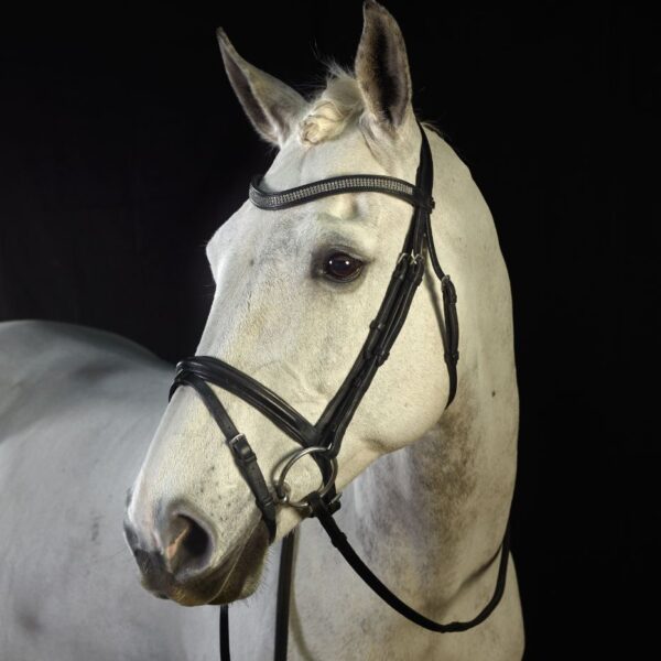 GFS Monarch Crystal Flash Bridle - Image 3