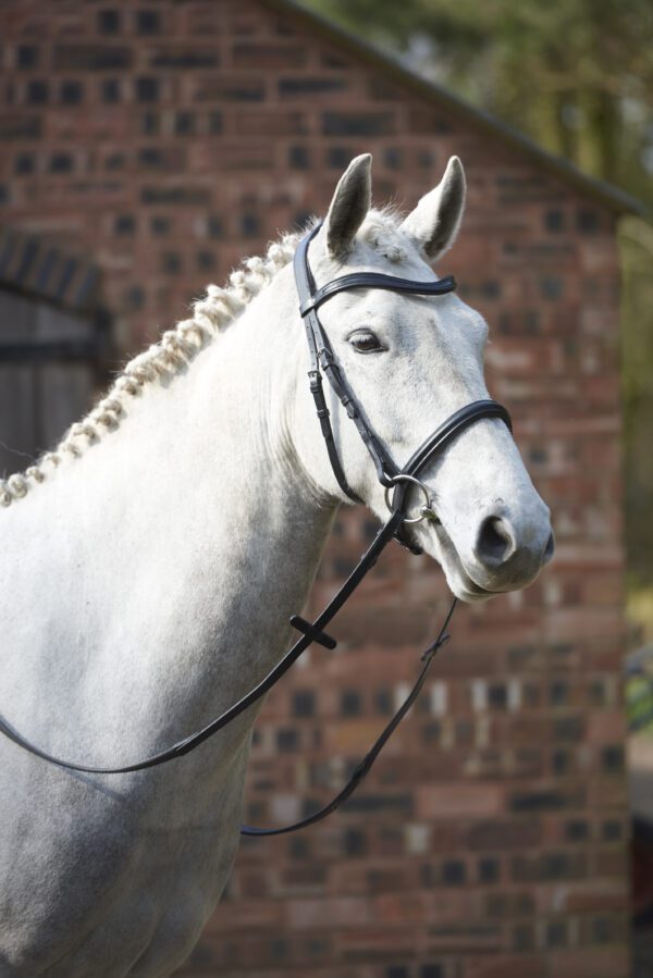 GFS Simplicity Cavesson Bridle - Image 2