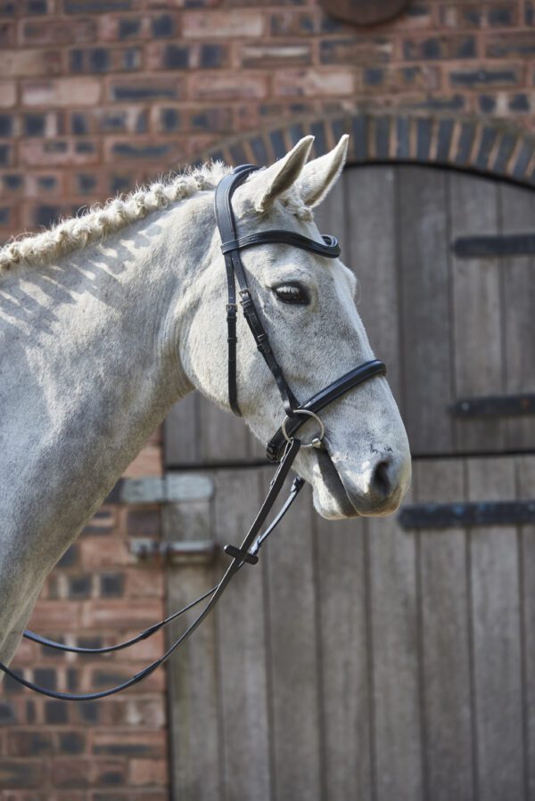 GFS Simplicity Cavesson Bridle - Image 3