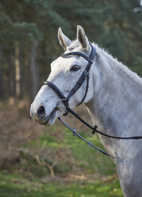 GFS Simplicity Cavesson Bridle