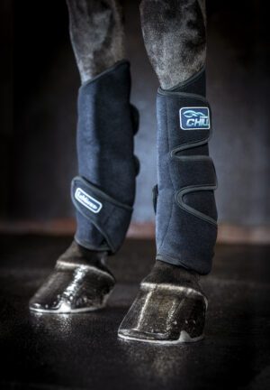 Horse wearing protective leg wraps indoors.