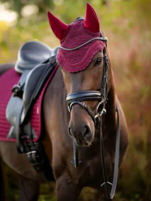 Horse wearing red bridle and ear bonnet.