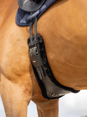 Close-up of horse saddle and girth