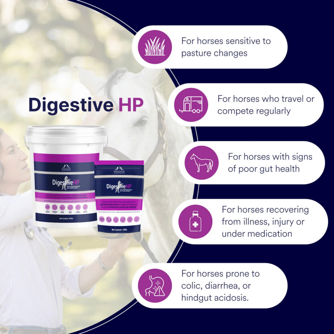 'Poseidon' - DigestiveHP - Image 7