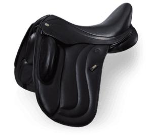 Fairfax Finesse Dressage