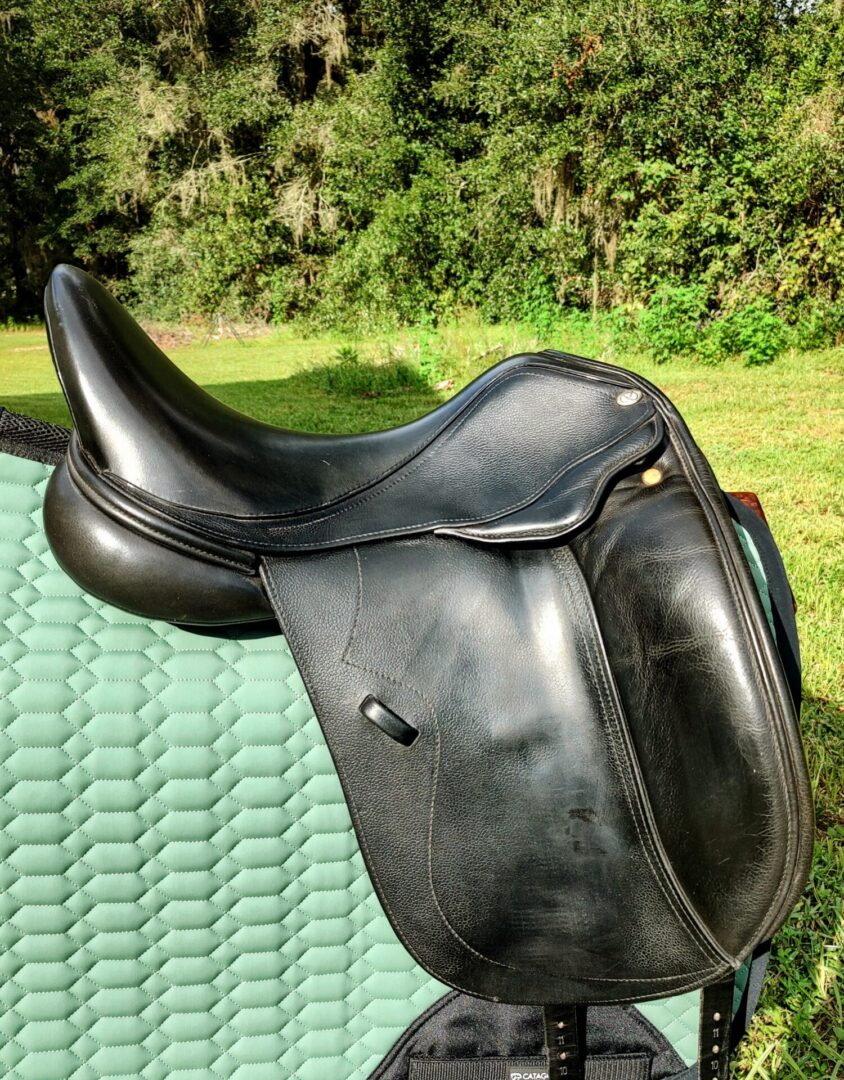Ryder Panamera Dressage - Dual Flap - UC370 - Image 2