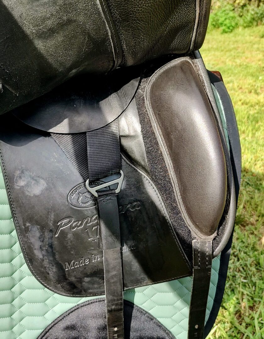 Ryder Panamera Dressage - Dual Flap - UC370 - Image 3