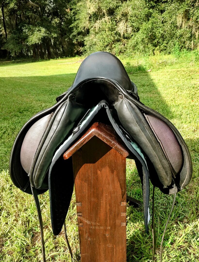 Ryder Panamera Dressage - Dual Flap - UC370 - Image 4