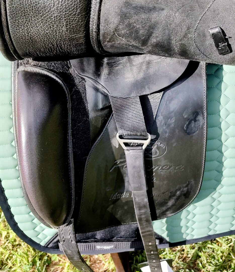 Ryder Panamera Dressage - Dual Flap - UC370 - Image 5